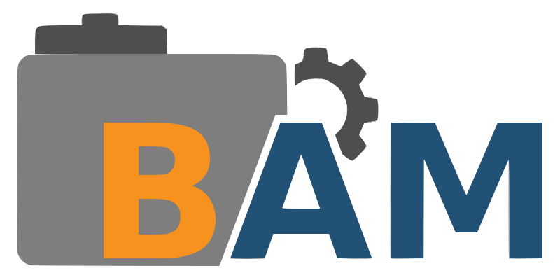 BAM logo